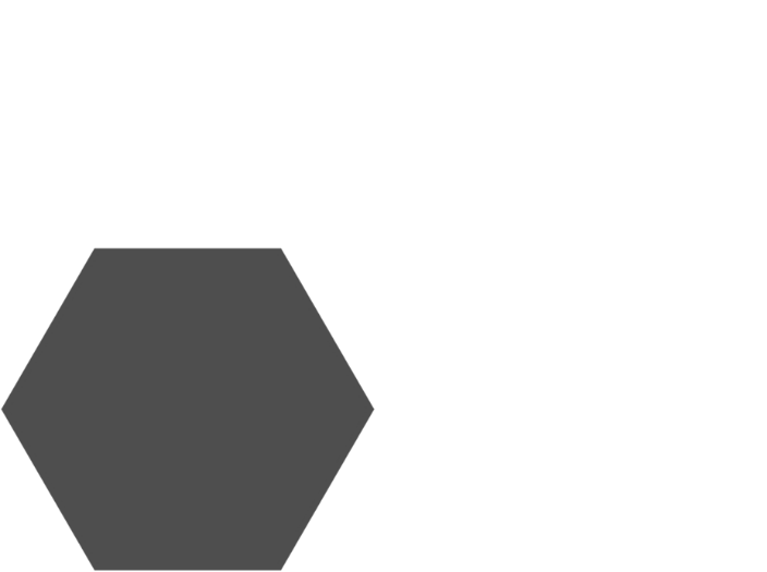 two-polygon